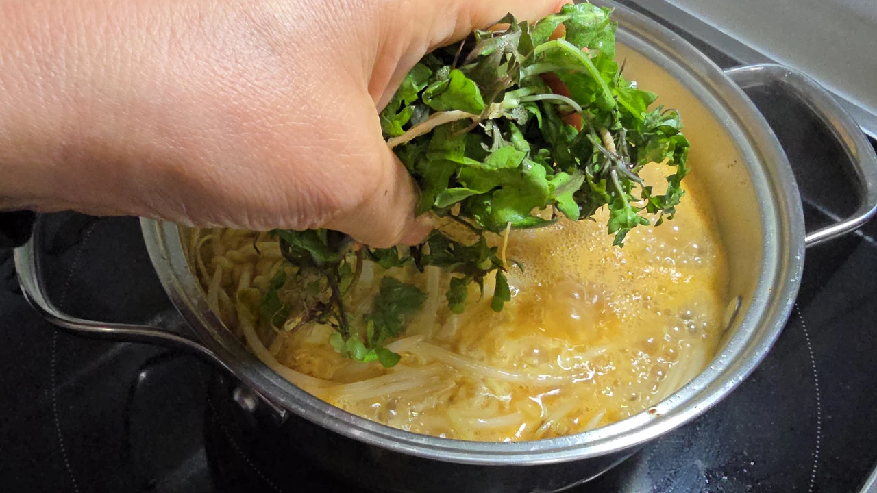 img.jpg?credential=yqXZFxpELC7KVnFOS48ylbz2pIh7yKj8&expires=1774969199&allow_ip=&allow_referer=&signature=noNrS2ssmqJfafRLGPuHs%2BDNOpk%3D