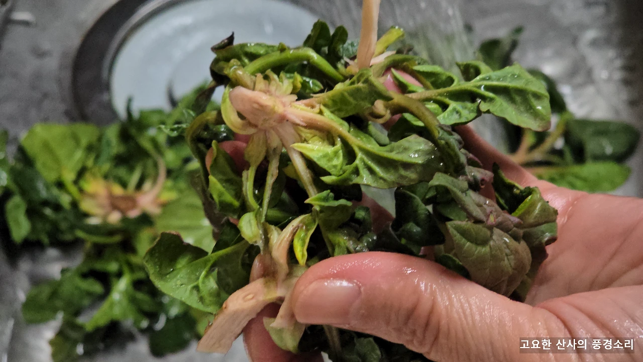 img.png?credential=yqXZFxpELC7KVnFOS48ylbz2pIh7yKj8&expires=1772290799&allow_ip=&allow_referer=&signature=QgmPGSjEGQUToaEBCvT3G2RzGAU%3D