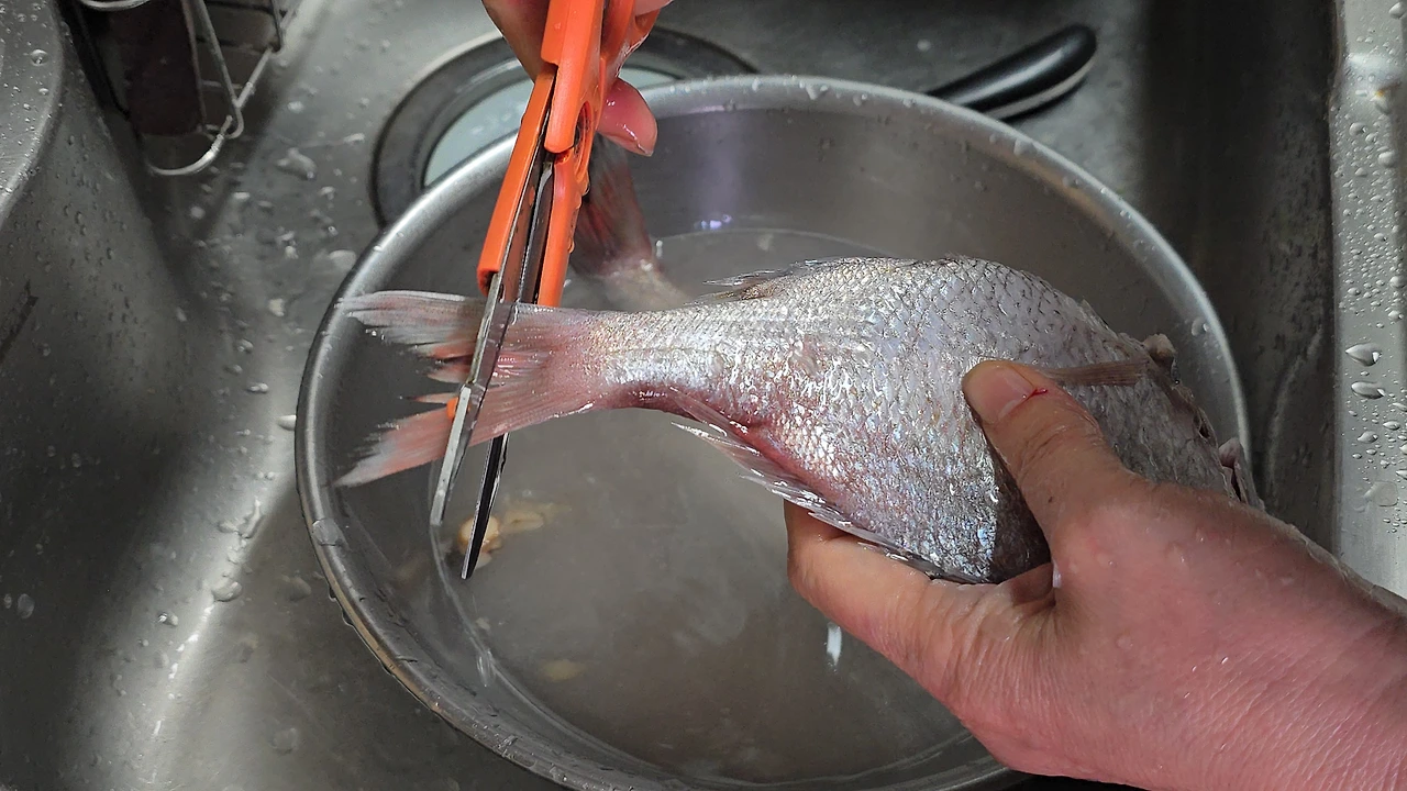 img.jpg?credential=yqXZFxpELC7KVnFOS48ylbz2pIh7yKj8&expires=1777561199&allow_ip=&allow_referer=&signature=Gwy6ExK9LELHkoLXmIkTtgAugS0%3D