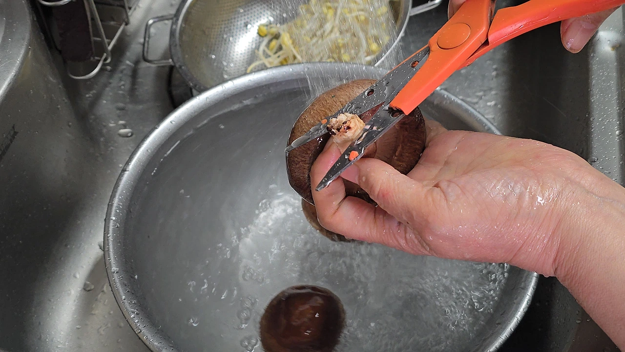 img.jpg?credential=yqXZFxpELC7KVnFOS48ylbz2pIh7yKj8&expires=1777561199&allow_ip=&allow_referer=&signature=HrZDhFrTeWPtlnB72NCjV1ZpK34%3D