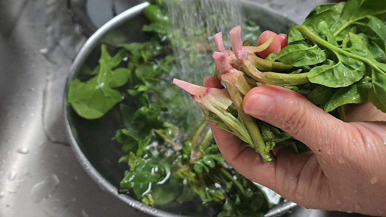 img.jpg?credential=yqXZFxpELC7KVnFOS48ylbz2pIh7yKj8&expires=1772290799&allow_ip=&allow_referer=&signature=XCmvo4UZr16F2EPGMkcqJIHngLM%3D