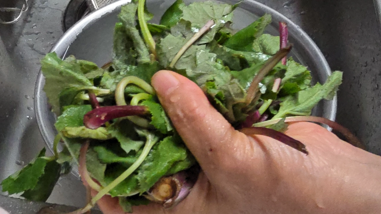 img.jpg?credential=yqXZFxpELC7KVnFOS48ylbz2pIh7yKj8&expires=1777561199&allow_ip=&allow_referer=&signature=aB8qW2RoiBGdFDEtIrExkOAnyRo%3D