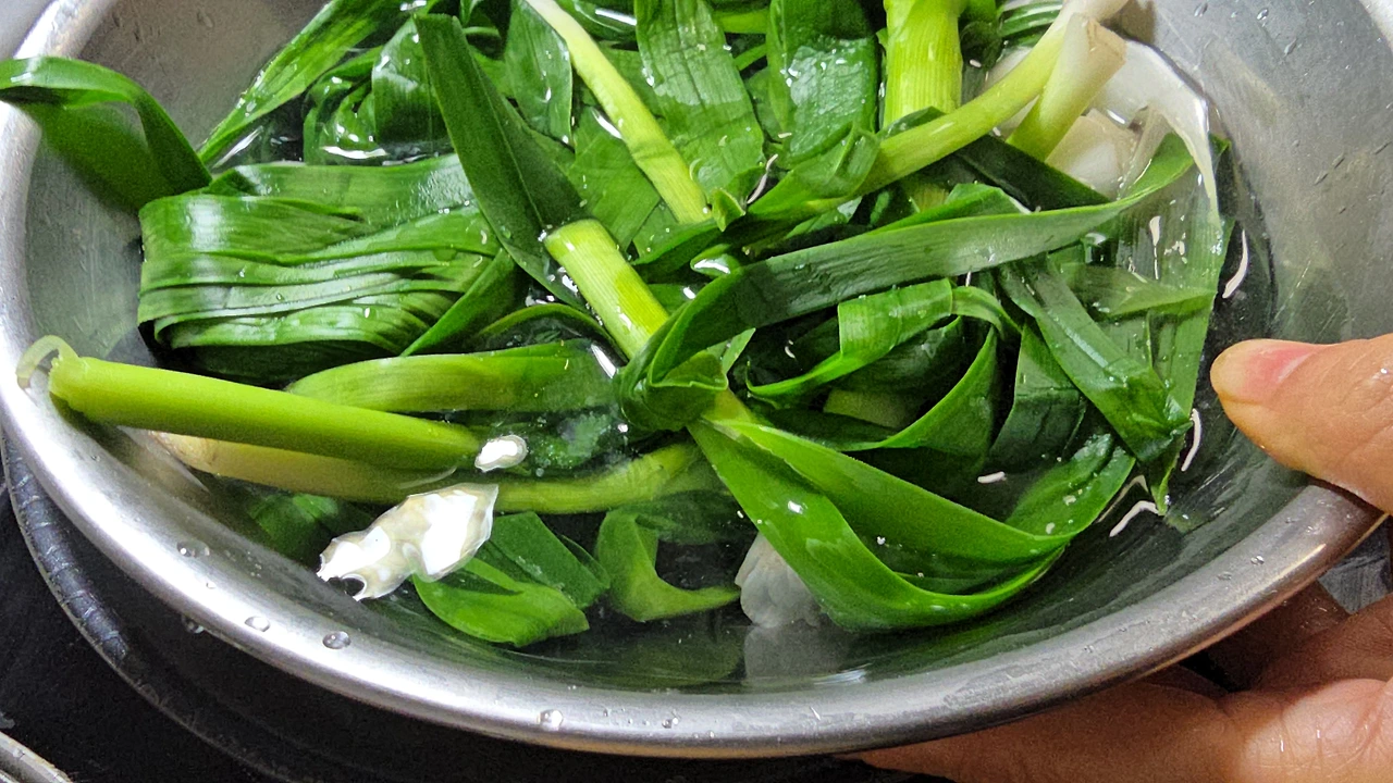 img.jpg?credential=yqXZFxpELC7KVnFOS48ylbz2pIh7yKj8&expires=1777561199&allow_ip=&allow_referer=&signature=7J7RCJjrbsVDhHwysfQFXRsozoU%3D