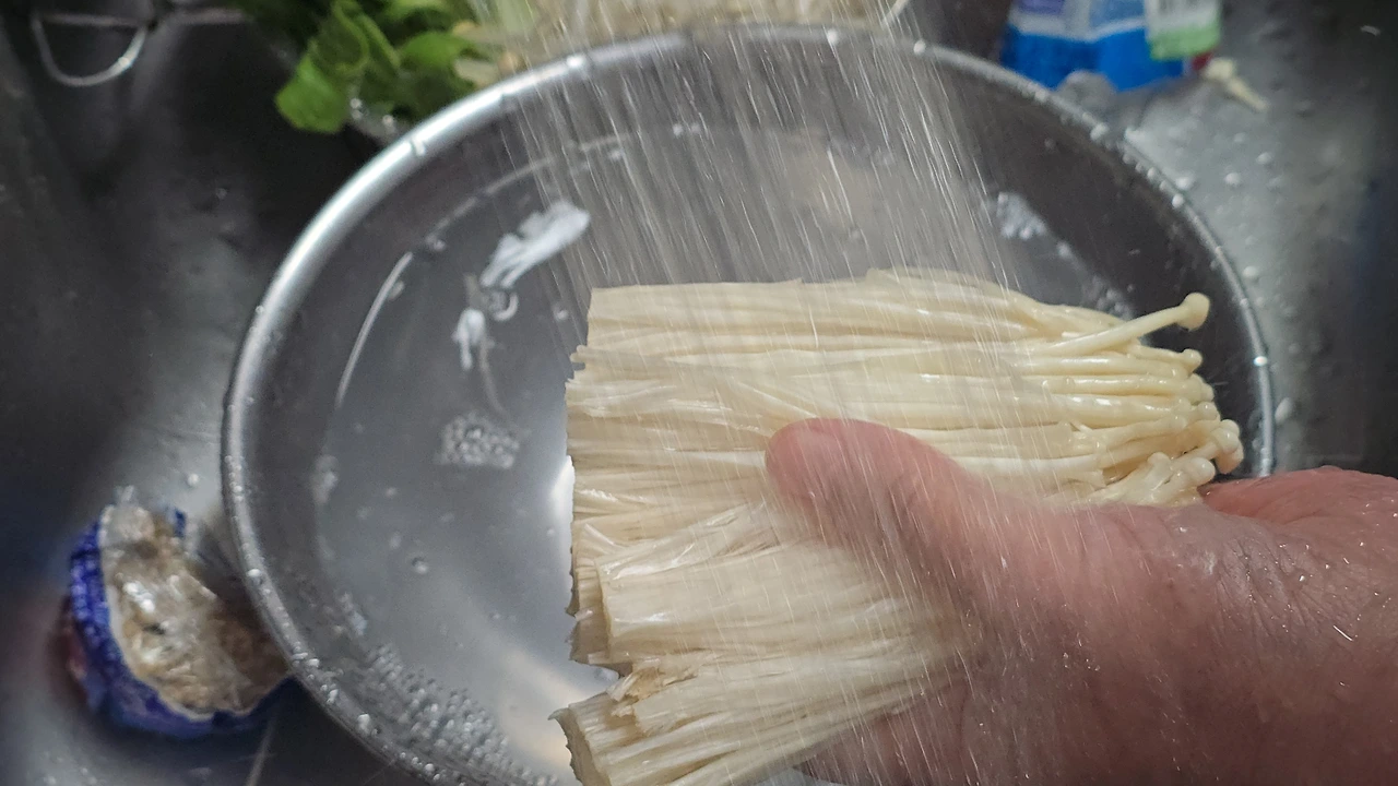 img.jpg?credential=yqXZFxpELC7KVnFOS48ylbz2pIh7yKj8&expires=1772290799&allow_ip=&allow_referer=&signature=CEM3hW42xnZbvQYDTztZnPkqNvE%3D