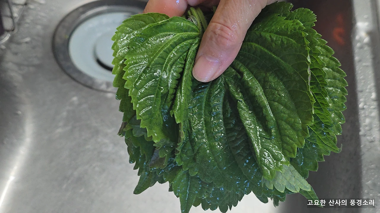 img.png?credential=yqXZFxpELC7KVnFOS48ylbz2pIh7yKj8&expires=1772290799&allow_ip=&allow_referer=&signature=wQ7e6WAYDinn4SLFpJdsWq2vYVI%3D