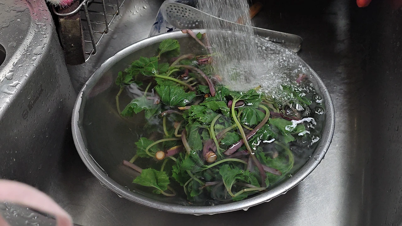 img.jpg?credential=yqXZFxpELC7KVnFOS48ylbz2pIh7yKj8&expires=1774969199&allow_ip=&allow_referer=&signature=KOa6egXgZG0%2Fuan2%2B59JMWfL6d4%3D