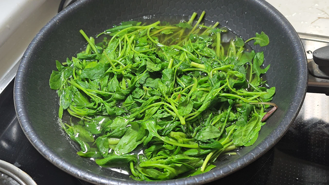 img.jpg?credential=yqXZFxpELC7KVnFOS48ylbz2pIh7yKj8&expires=1777561199&allow_ip=&allow_referer=&signature=l4PugbEzRq3xxEX67Xua%2BfBPHlo%3D