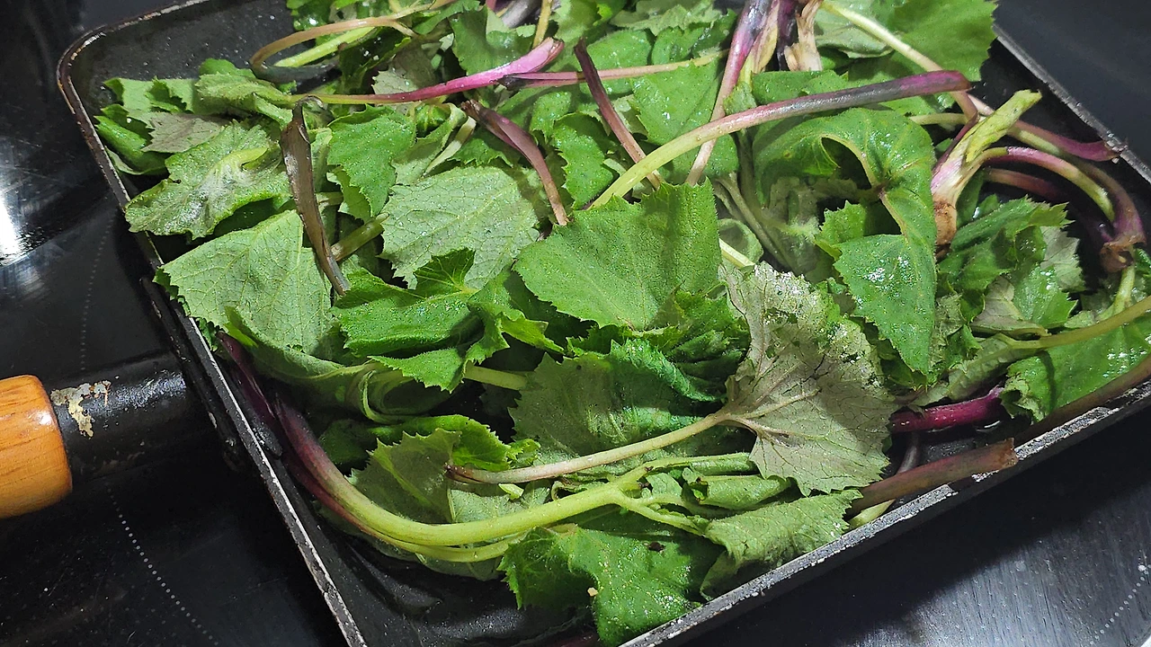 img.jpg?credential=yqXZFxpELC7KVnFOS48ylbz2pIh7yKj8&expires=1777561199&allow_ip=&allow_referer=&signature=VFPF6e%2BXbnb3dV8SlNh3hf3S3kk%3D