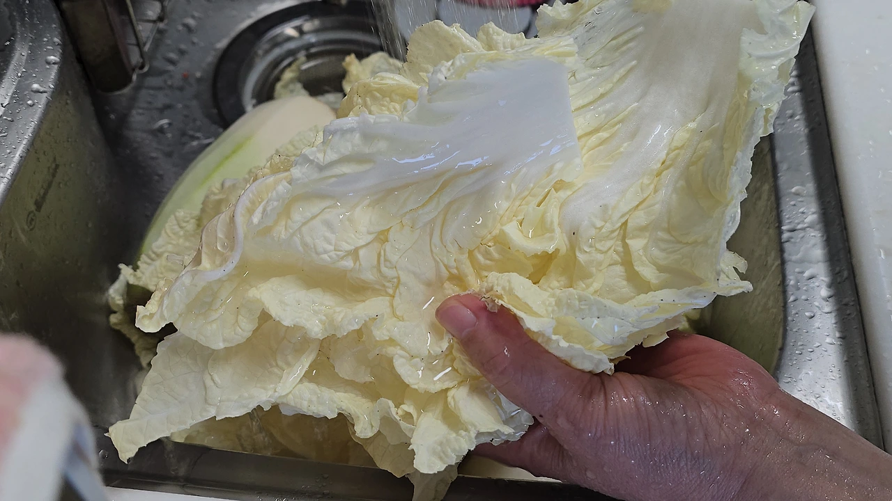 img.jpg?credential=yqXZFxpELC7KVnFOS48ylbz2pIh7yKj8&expires=1777561199&allow_ip=&allow_referer=&signature=D4jIP2GgQ%2FbFsX%2BOHRDgmIQDISo%3D