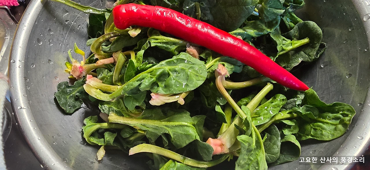 img.png?credential=yqXZFxpELC7KVnFOS48ylbz2pIh7yKj8&expires=1774969199&allow_ip=&allow_referer=&signature=lfZJlhP%2BlABJ0skSx8Kp3rRqSs8%3D