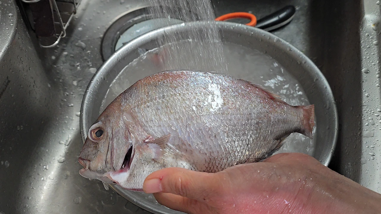 img.jpg?credential=yqXZFxpELC7KVnFOS48ylbz2pIh7yKj8&expires=1777561199&allow_ip=&allow_referer=&signature=j03mMgCyxZsLBRjl4KxpR9Djp6c%3D