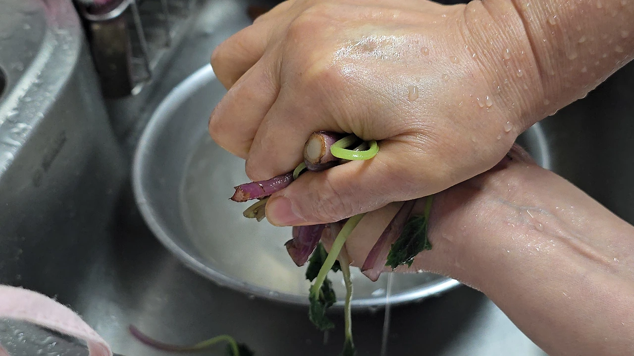 img.jpg?credential=yqXZFxpELC7KVnFOS48ylbz2pIh7yKj8&expires=1774969199&allow_ip=&allow_referer=&signature=uM8O7OAQmrSyldDKoCdF0XkZAmM%3D