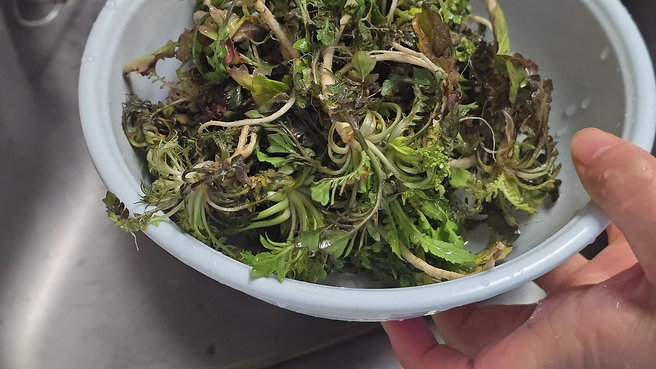 img.jpg?credential=yqXZFxpELC7KVnFOS48ylbz2pIh7yKj8&expires=1774969199&allow_ip=&allow_referer=&signature=wzWRw40phD4Oqf226azvOKW2f80%3D