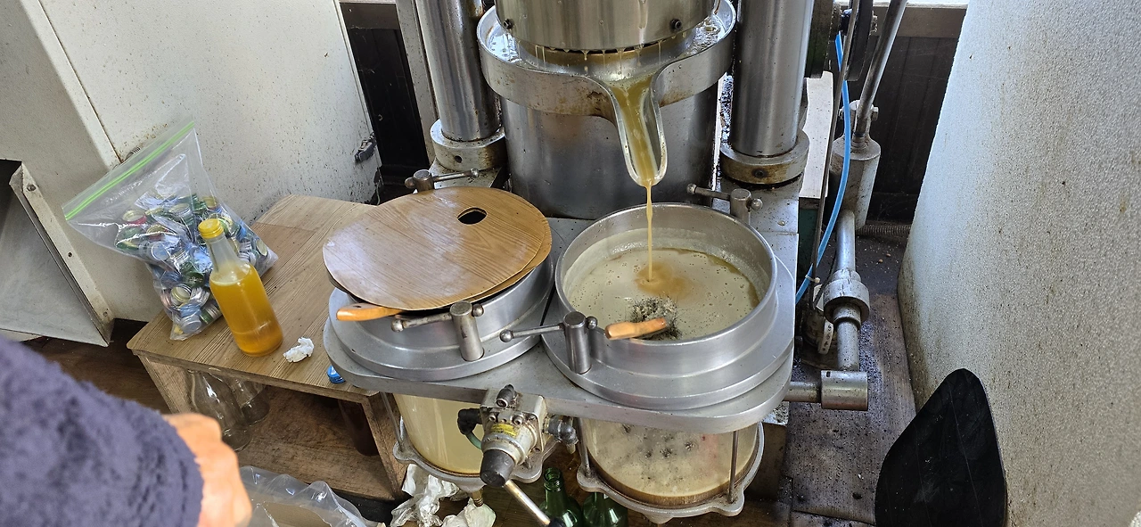 img.jpg?credential=yqXZFxpELC7KVnFOS48ylbz2pIh7yKj8&expires=1772290799&allow_ip=&allow_referer=&signature=uy4dg9qGb%2FiBi99ATblfQ35A%2FbE%3D