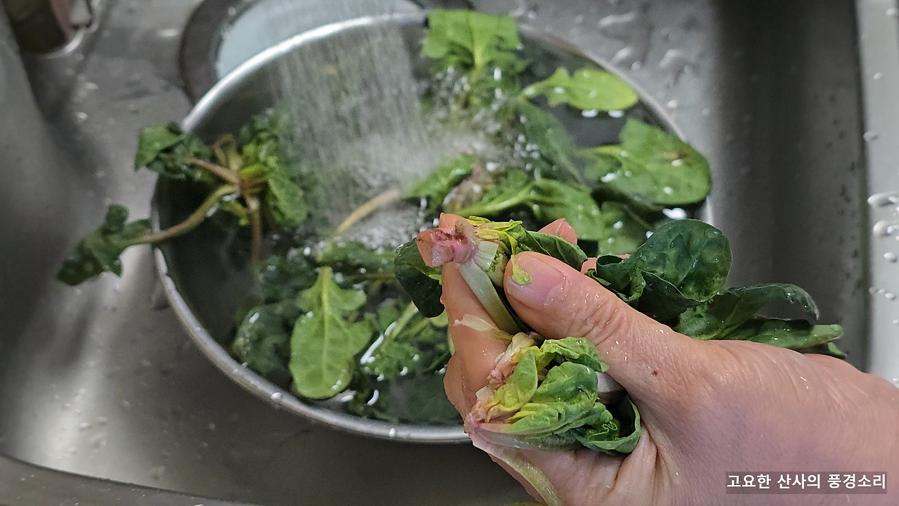 img.png?credential=yqXZFxpELC7KVnFOS48ylbz2pIh7yKj8&expires=1774969199&allow_ip=&allow_referer=&signature=8hkTtNlplw0Gf5N5gkvbn9KmeAQ%3D