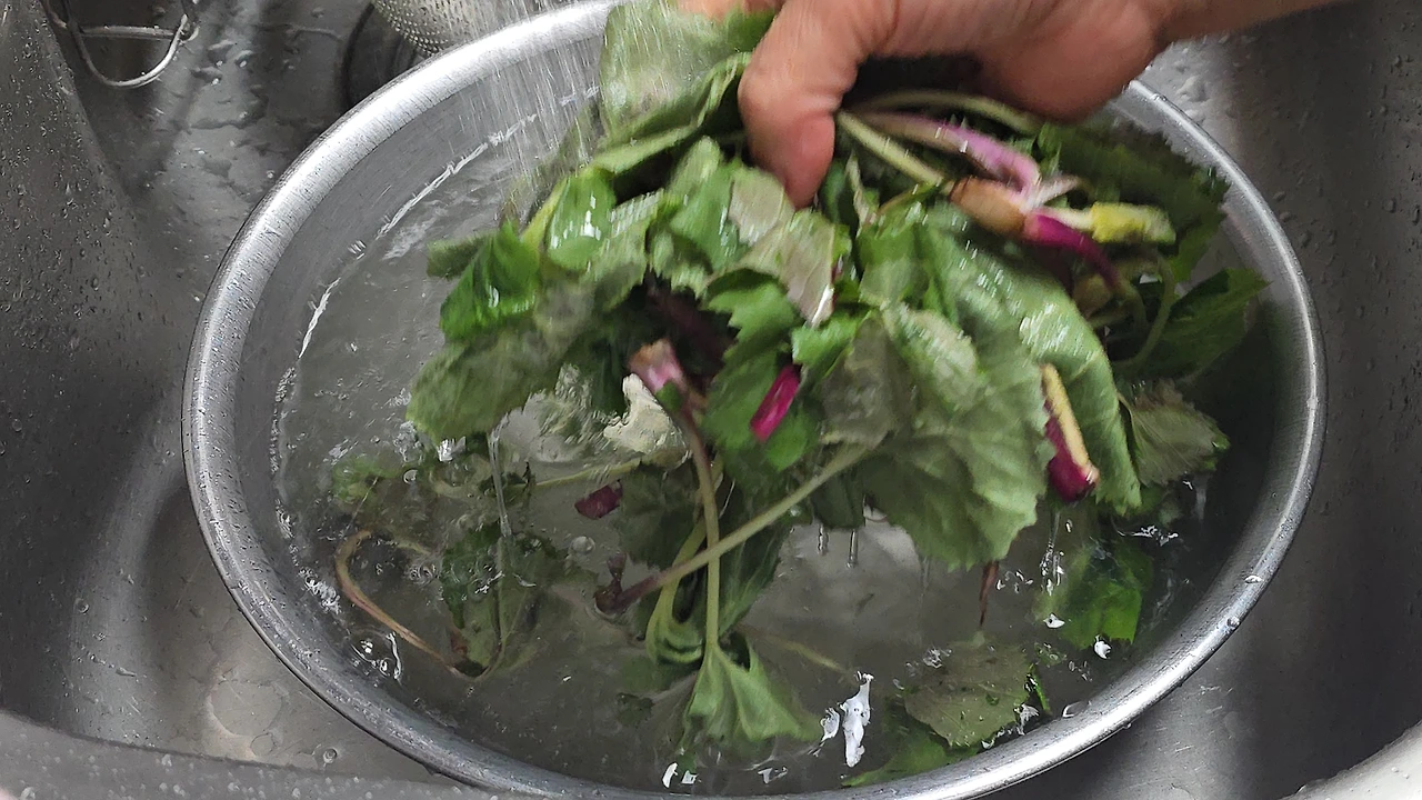 img.jpg?credential=yqXZFxpELC7KVnFOS48ylbz2pIh7yKj8&expires=1777561199&allow_ip=&allow_referer=&signature=VC6isx66nbeuJNsuqjWr539UhkU%3D