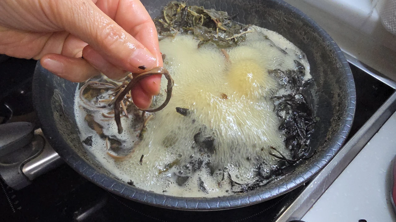 img.jpg?credential=yqXZFxpELC7KVnFOS48ylbz2pIh7yKj8&expires=1774969199&allow_ip=&allow_referer=&signature=6jxwXLncV9hrNzeF8Dhz5TxPVkE%3D