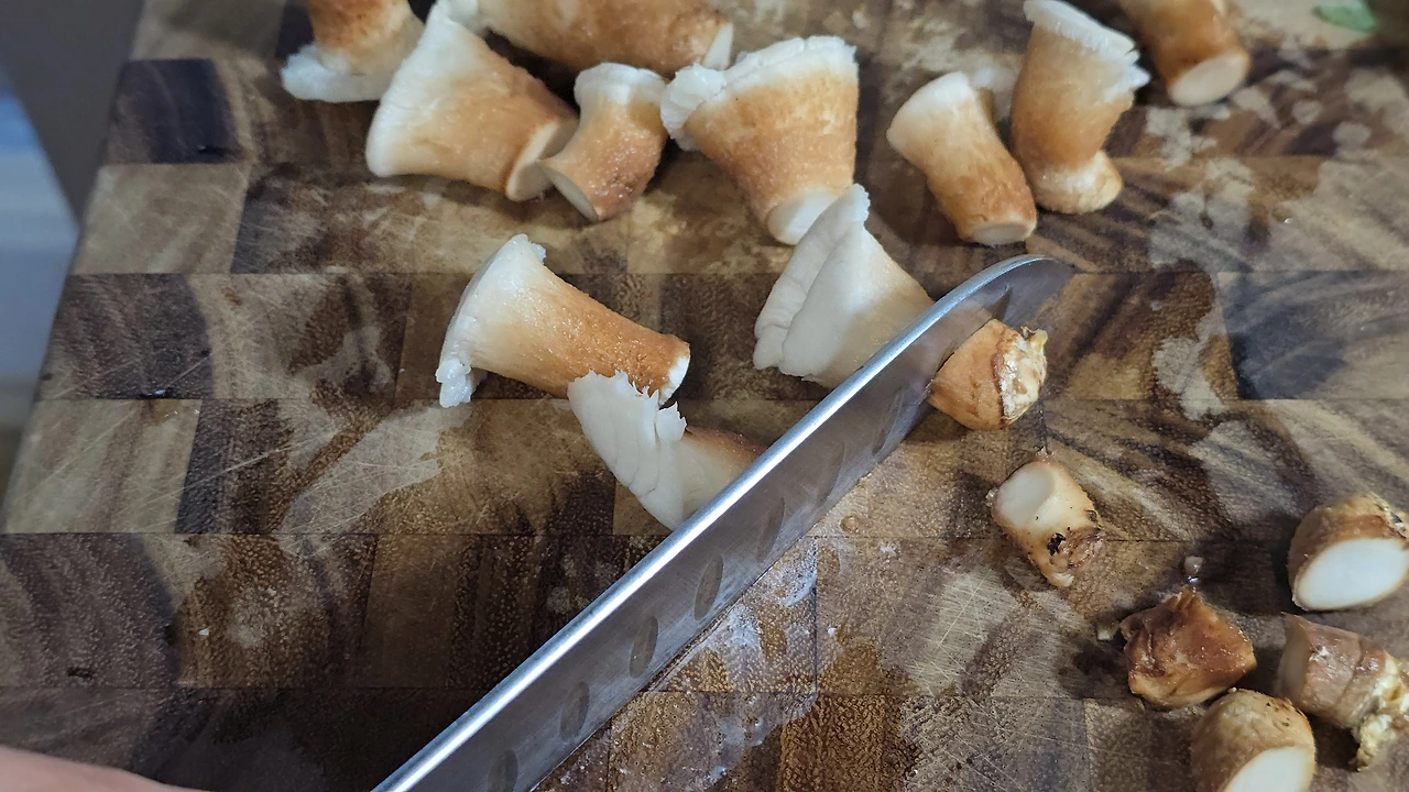 img.jpg?credential=yqXZFxpELC7KVnFOS48ylbz2pIh7yKj8&expires=1769871599&allow_ip=&allow_referer=&signature=Tn3hxgzpjCvI5P9JN8LSditgDP4%3D