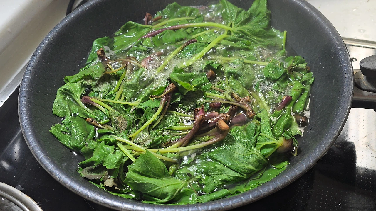 img.jpg?credential=yqXZFxpELC7KVnFOS48ylbz2pIh7yKj8&expires=1777561199&allow_ip=&allow_referer=&signature=W61TMyMciN7zrYY4%2FVVPGYtj6ck%3D