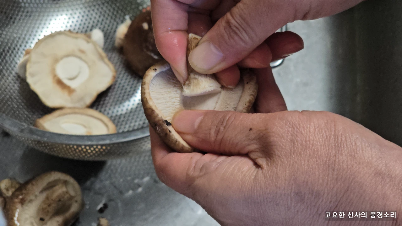 img.png?credential=yqXZFxpELC7KVnFOS48ylbz2pIh7yKj8&expires=1772290799&allow_ip=&allow_referer=&signature=vWHuQ6OGU5oFB5kglY0CbATysIY%3D