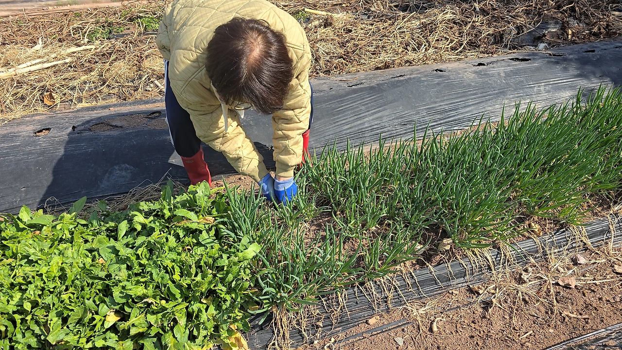 img.jpg?credential=yqXZFxpELC7KVnFOS48ylbz2pIh7yKj8&expires=1774969199&allow_ip=&allow_referer=&signature=T4DRq%2FU4xQ9an%2BJ7xmnE1bhBGv8%3D