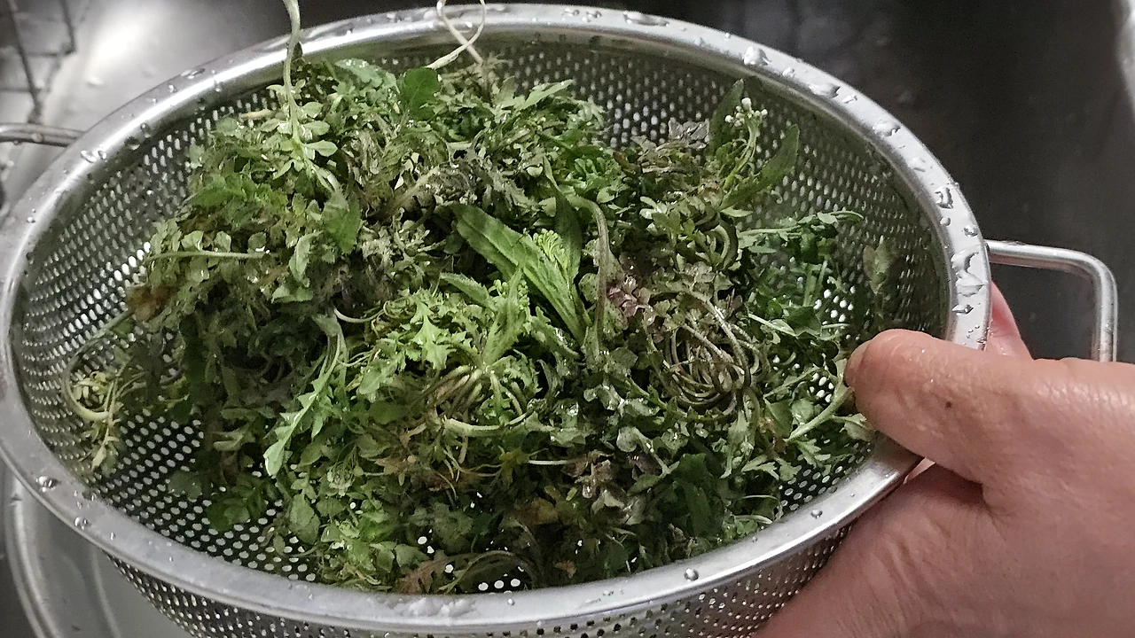 img.jpg?credential=yqXZFxpELC7KVnFOS48ylbz2pIh7yKj8&expires=1774969199&allow_ip=&allow_referer=&signature=a547VV7CtgMSQTUJ%2FHXWSX0Z0QY%3D