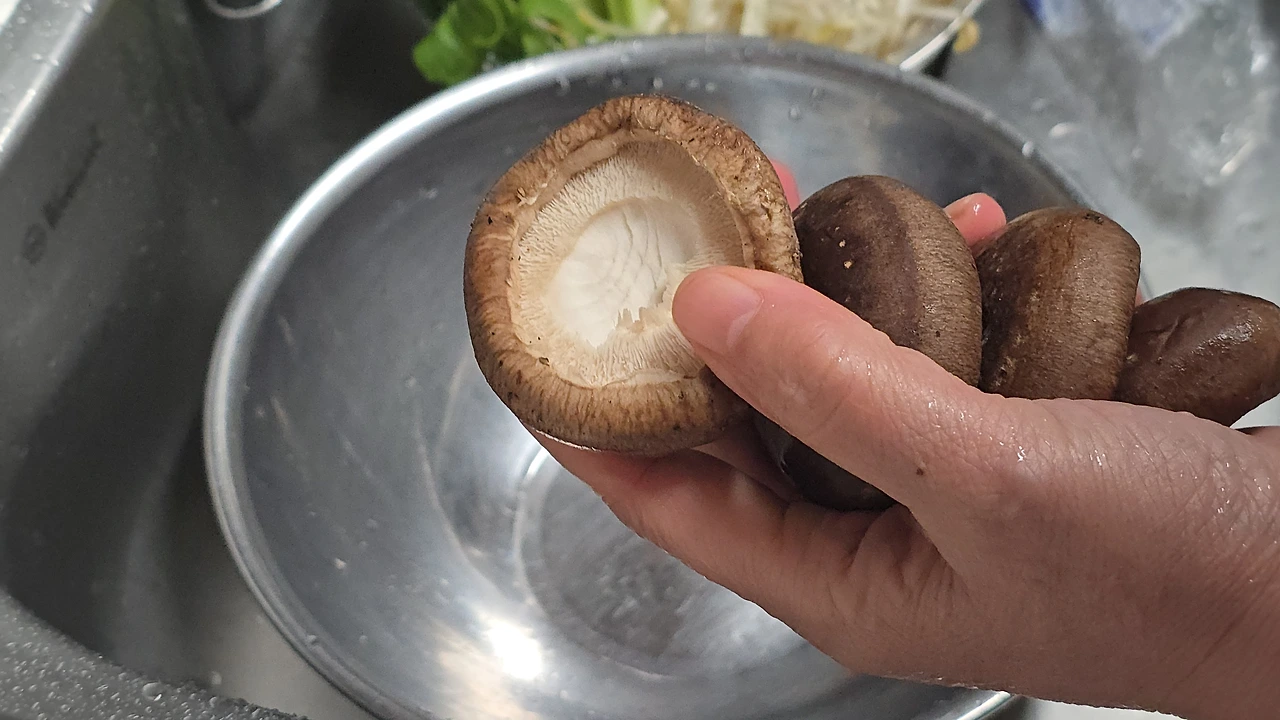 img.jpg?credential=yqXZFxpELC7KVnFOS48ylbz2pIh7yKj8&expires=1772290799&allow_ip=&allow_referer=&signature=D2QwcH0qHgXYnFIQ2ASvC0UOKh8%3D