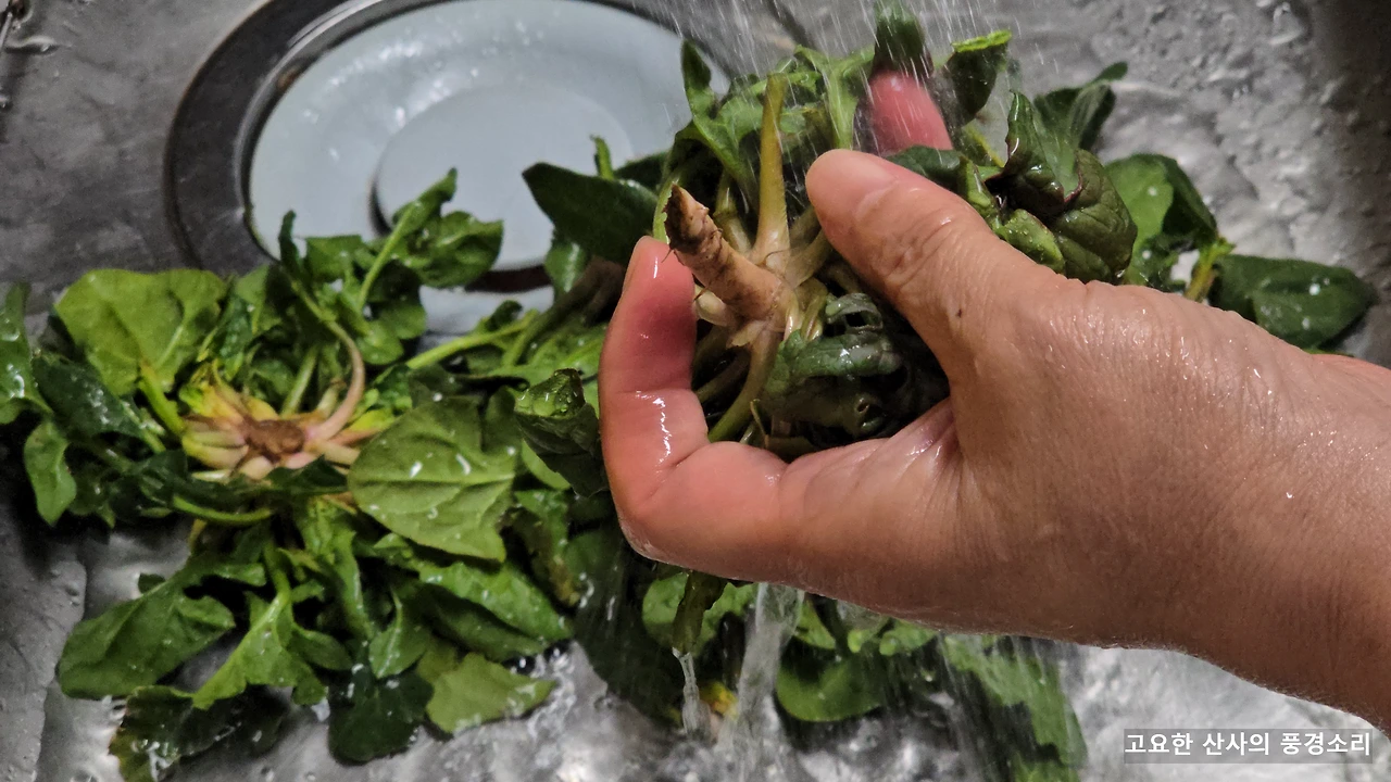 img.png?credential=yqXZFxpELC7KVnFOS48ylbz2pIh7yKj8&expires=1772290799&allow_ip=&allow_referer=&signature=QtKIrQhOhmpcW6FmiHOXb5ucsbQ%3D