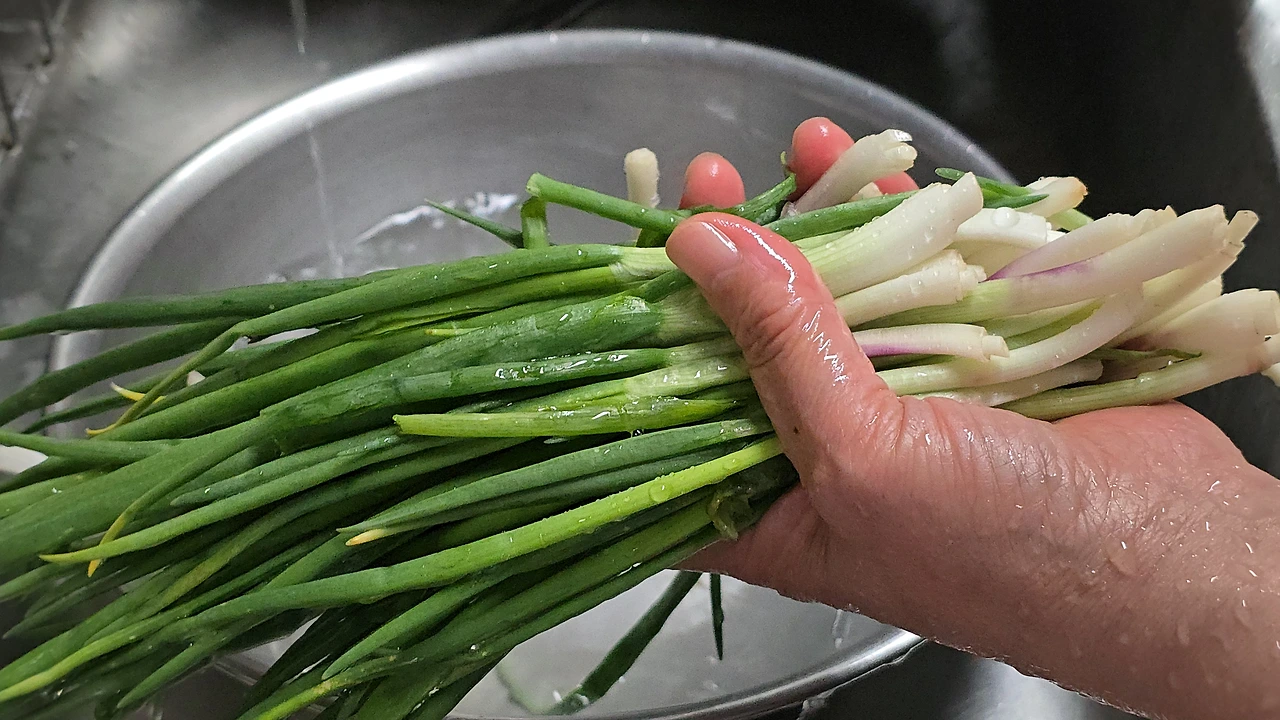 img.jpg?credential=yqXZFxpELC7KVnFOS48ylbz2pIh7yKj8&expires=1774969199&allow_ip=&allow_referer=&signature=fMfqCVLHmh1rA3pLURepEkANSPc%3D