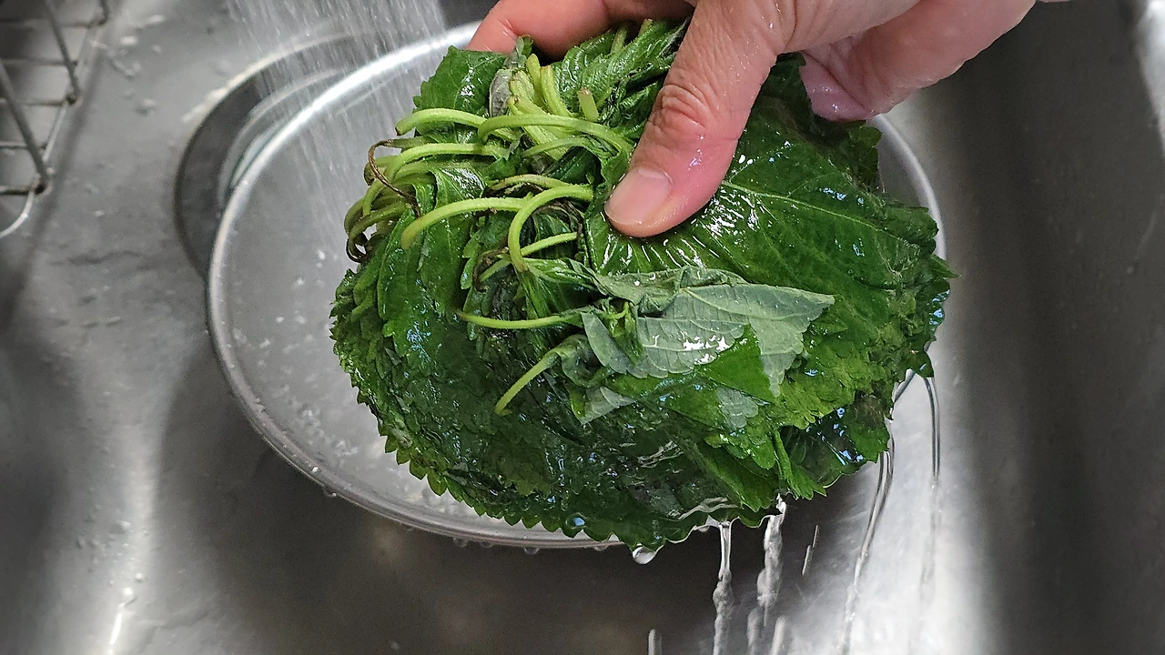 img.jpg?credential=yqXZFxpELC7KVnFOS48ylbz2pIh7yKj8&expires=1769871599&allow_ip=&allow_referer=&signature=FWSOMT8Qw8204jJcZZ49KhXU0u0%3D