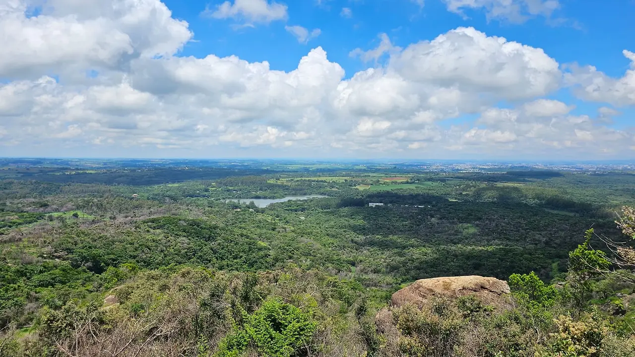 WhatsApp Image 2026-02-01 at 19.07.02.jpeg