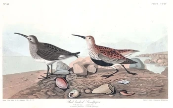 KakaoTalk_20260406_224225288.jpg?type=w580