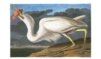 KakaoTalk_20260406_224126118.jpg?type=w580