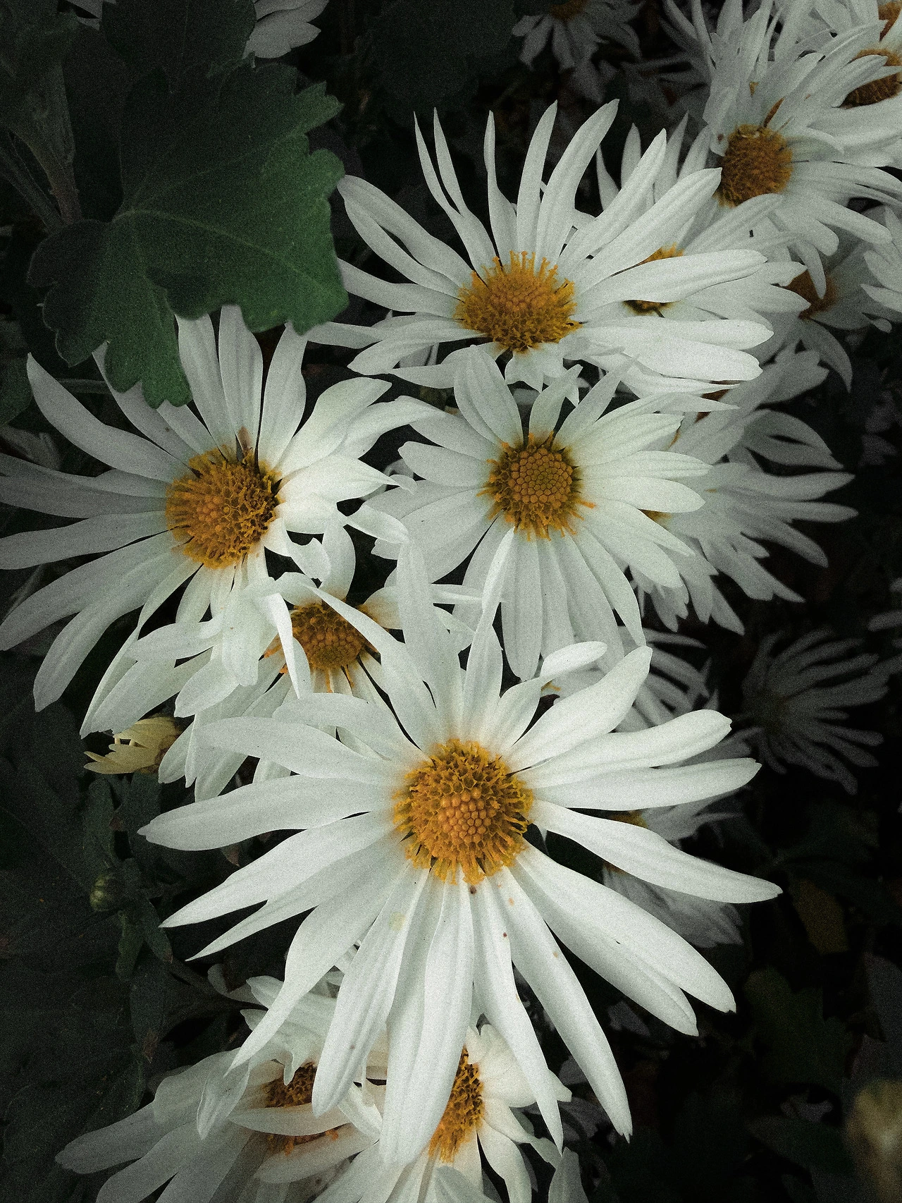 다운로드 (1).jpeg