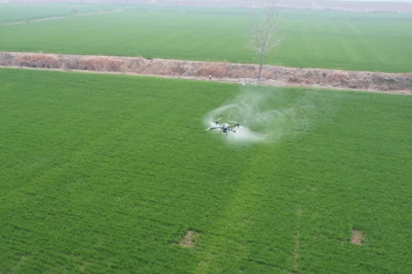 중국 비료 살포.jpeg