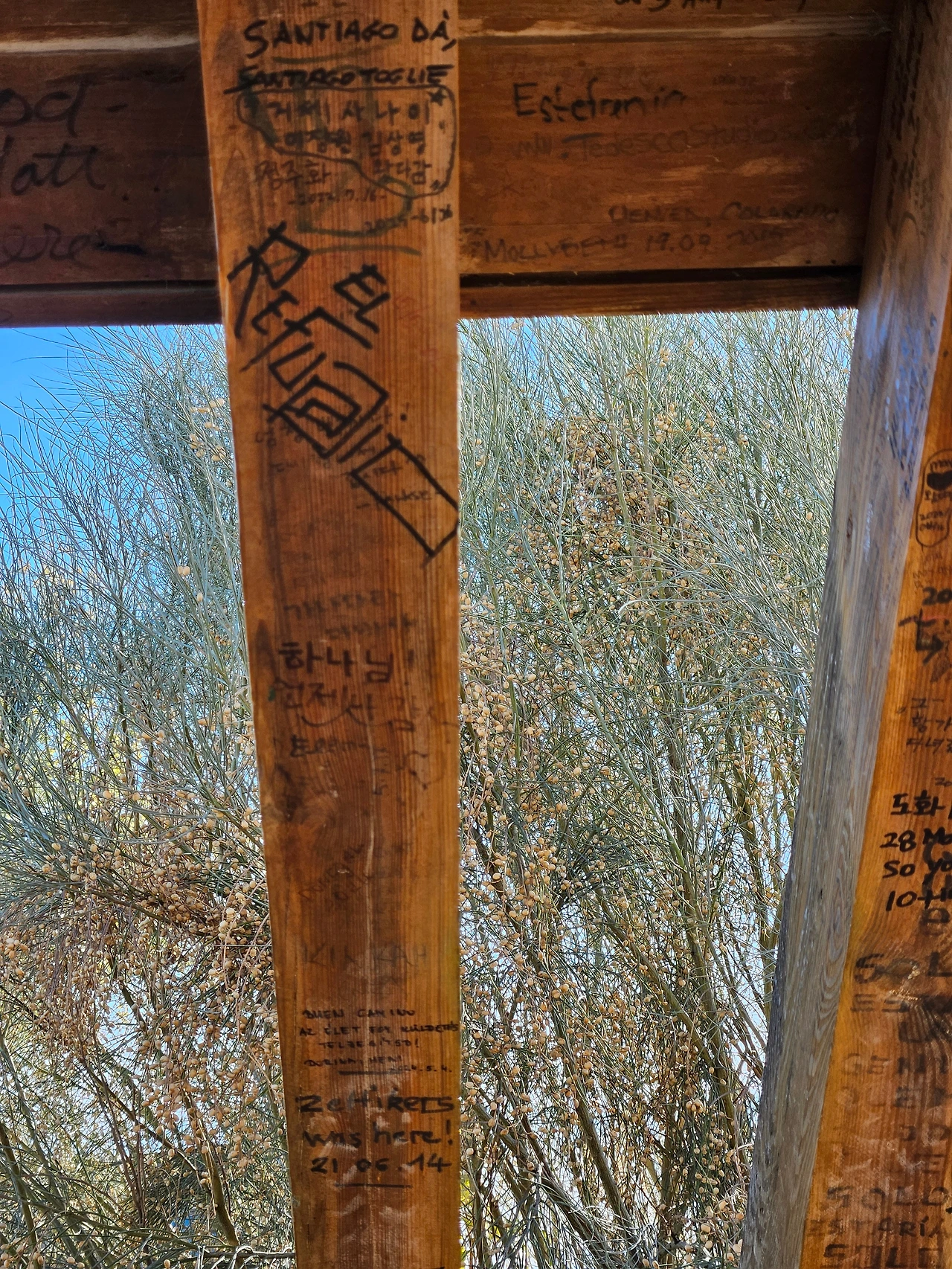 KakaoTalk_Photo_2026-02-03-21-37-41 001.jpeg