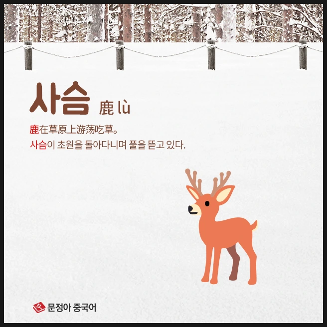 SE-c92d3615-0fc6-40a8-b3b7-e01f5cf8c46c.jpg?type=w1