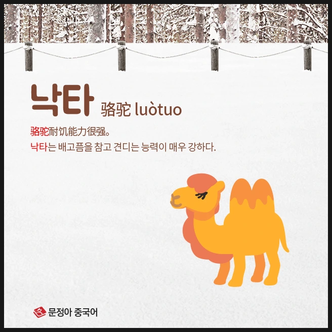 SE-a845dfad-a350-494d-9012-97f8f5547cf6.jpg?type=w1