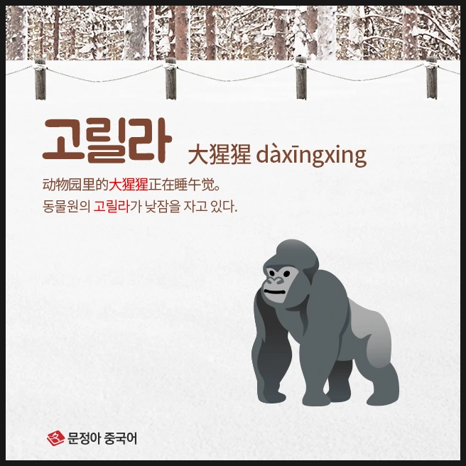 SE-67678f45-03b5-42d6-bece-702f21dd7456.jpg?type=w1