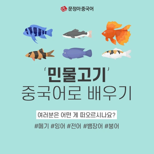 %EB%AF%BC%EB%AC%BC%EA%B3%A0%EA%B8%B0-%EC%A2%85%EB%A5%98-600.jpg?type=w1