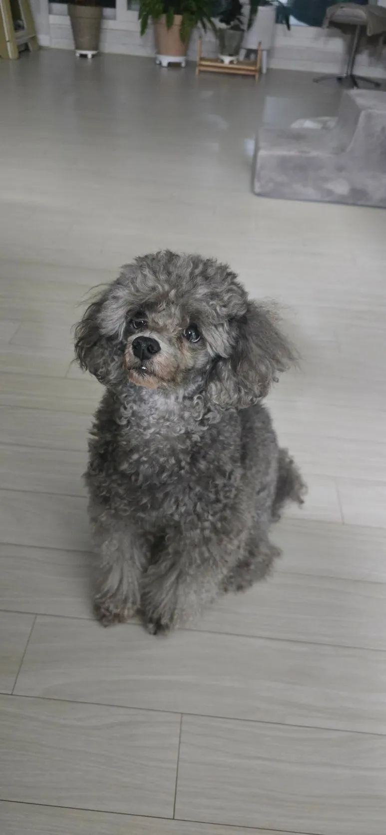 900%EF%BC%BFse%EF%BC%BFone%EF%BC%BF20250831%EF%BC%BF223728%EF%BC%BFa.jpg?type=w773