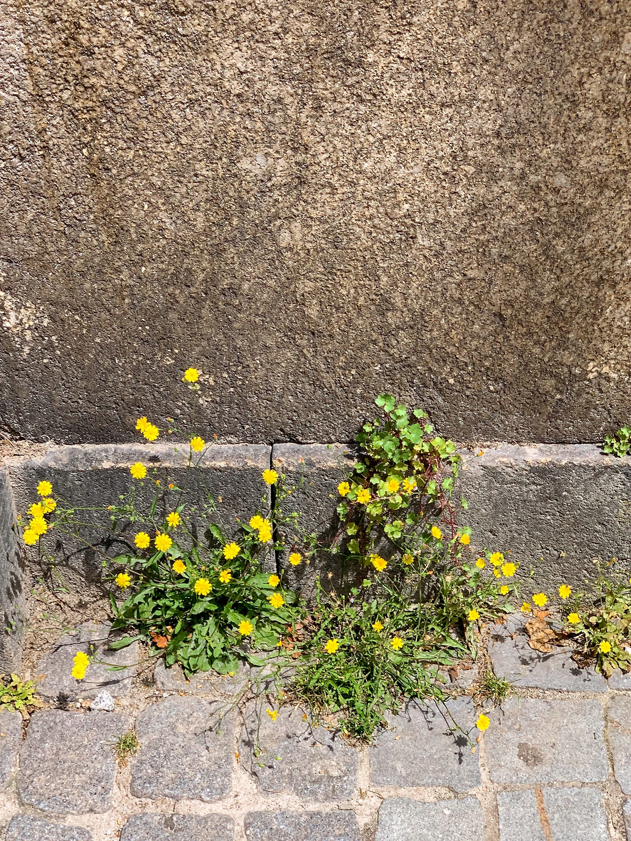 포르투 여행_8.JPG