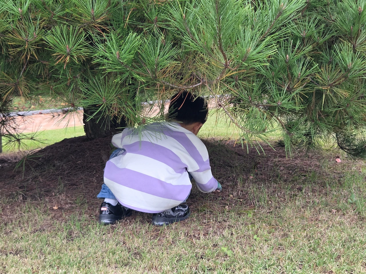 KakaoTalk_Photo_2026-03-06-18-31-13 008.jpeg