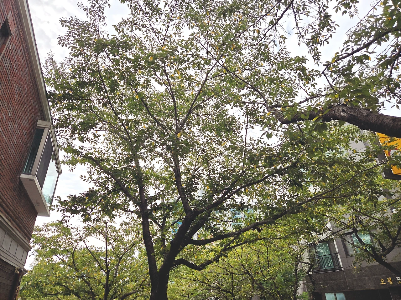 KakaoTalk_Photo_2026-01-27-12-39-06 001.jpeg