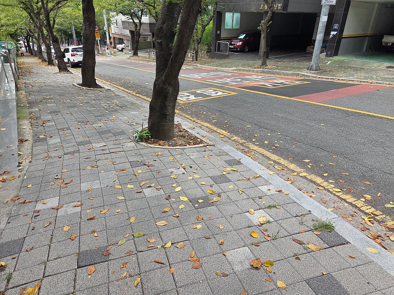 KakaoTalk_Photo_2026-01-27-12-38-52 001.jpeg