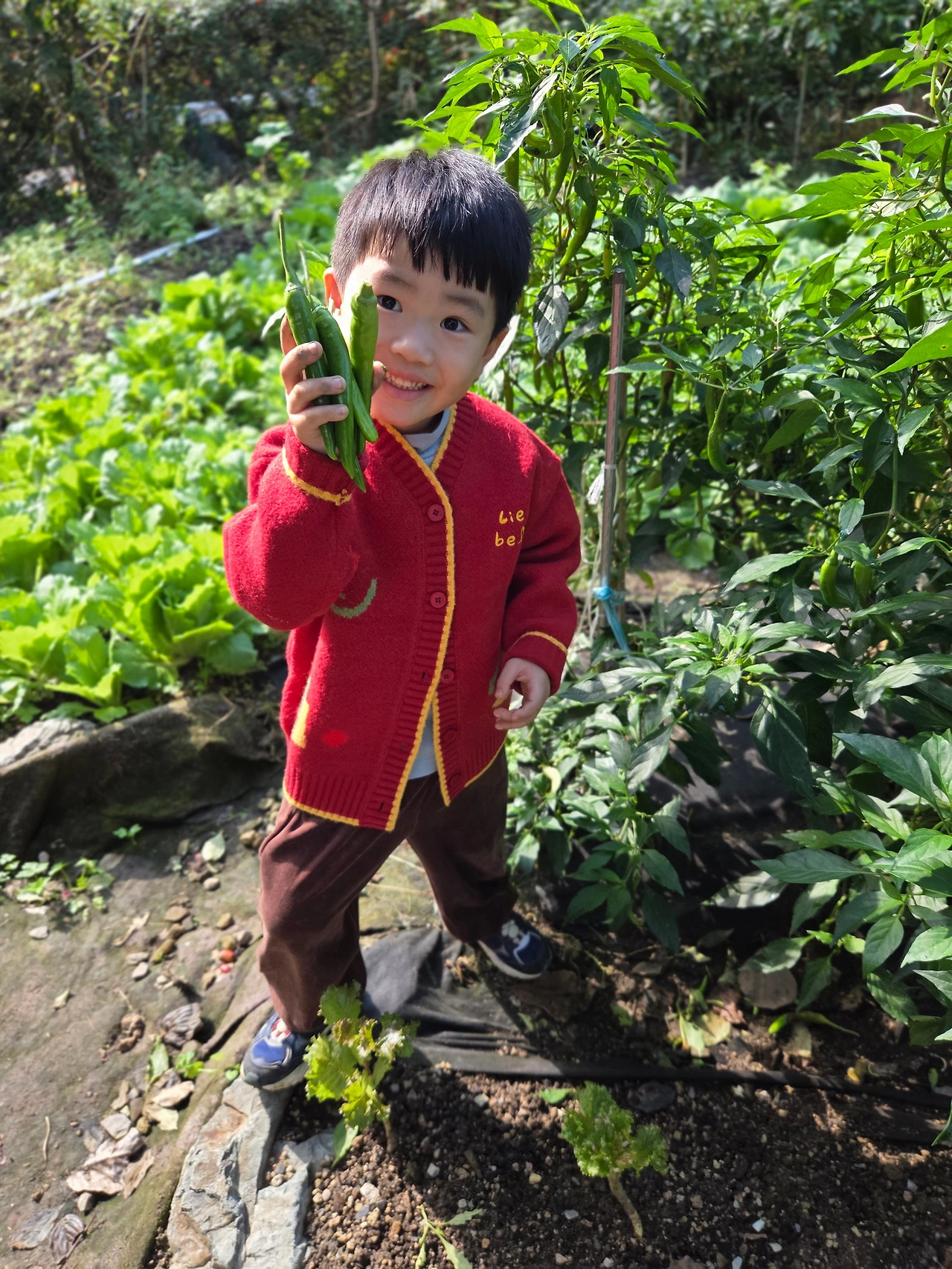 KakaoTalk_Photo_2026-03-06-18-29-41 001.jpeg