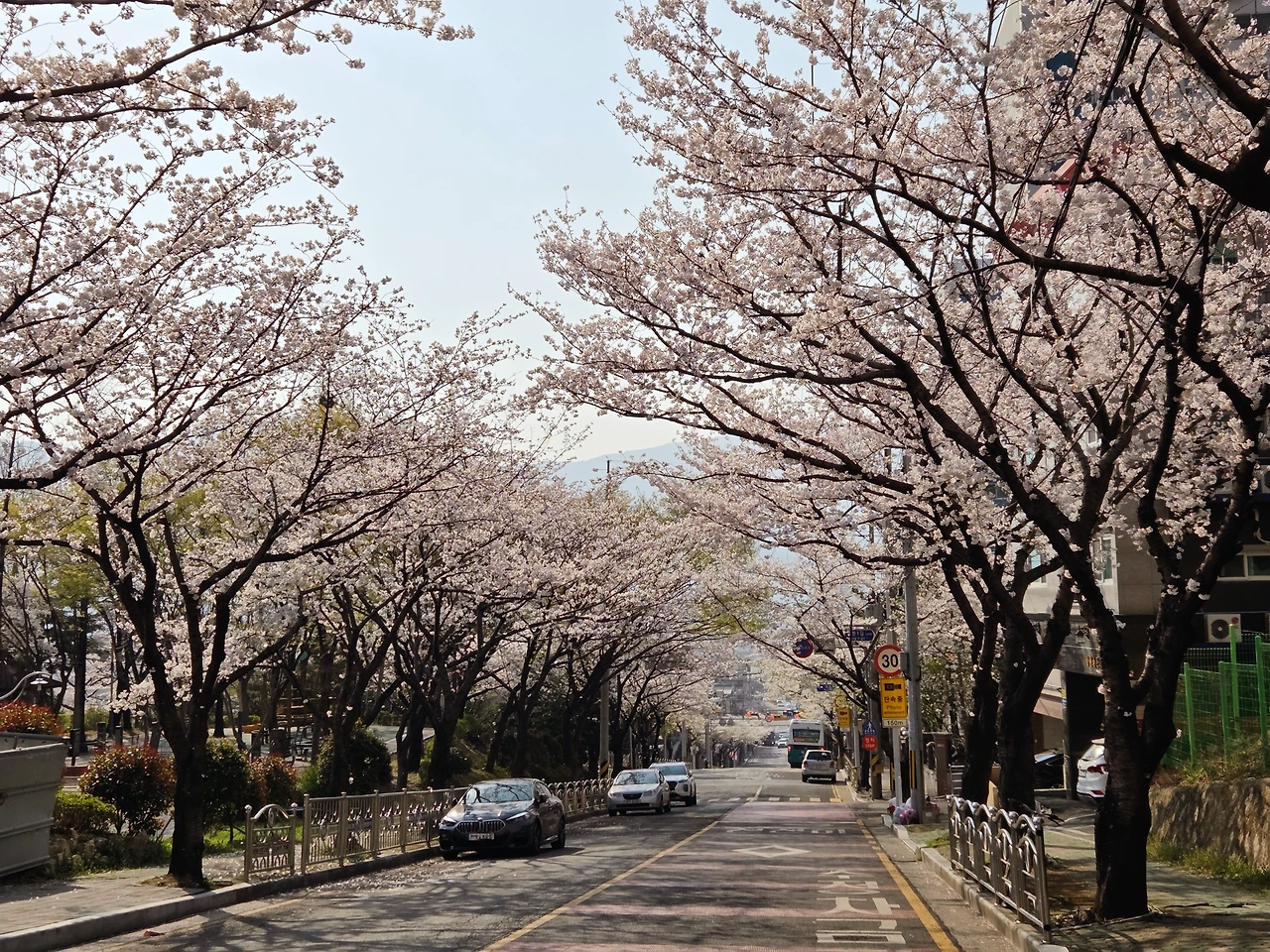 KakaoTalk_Photo_2026-01-27-12-39-06 002.jpeg