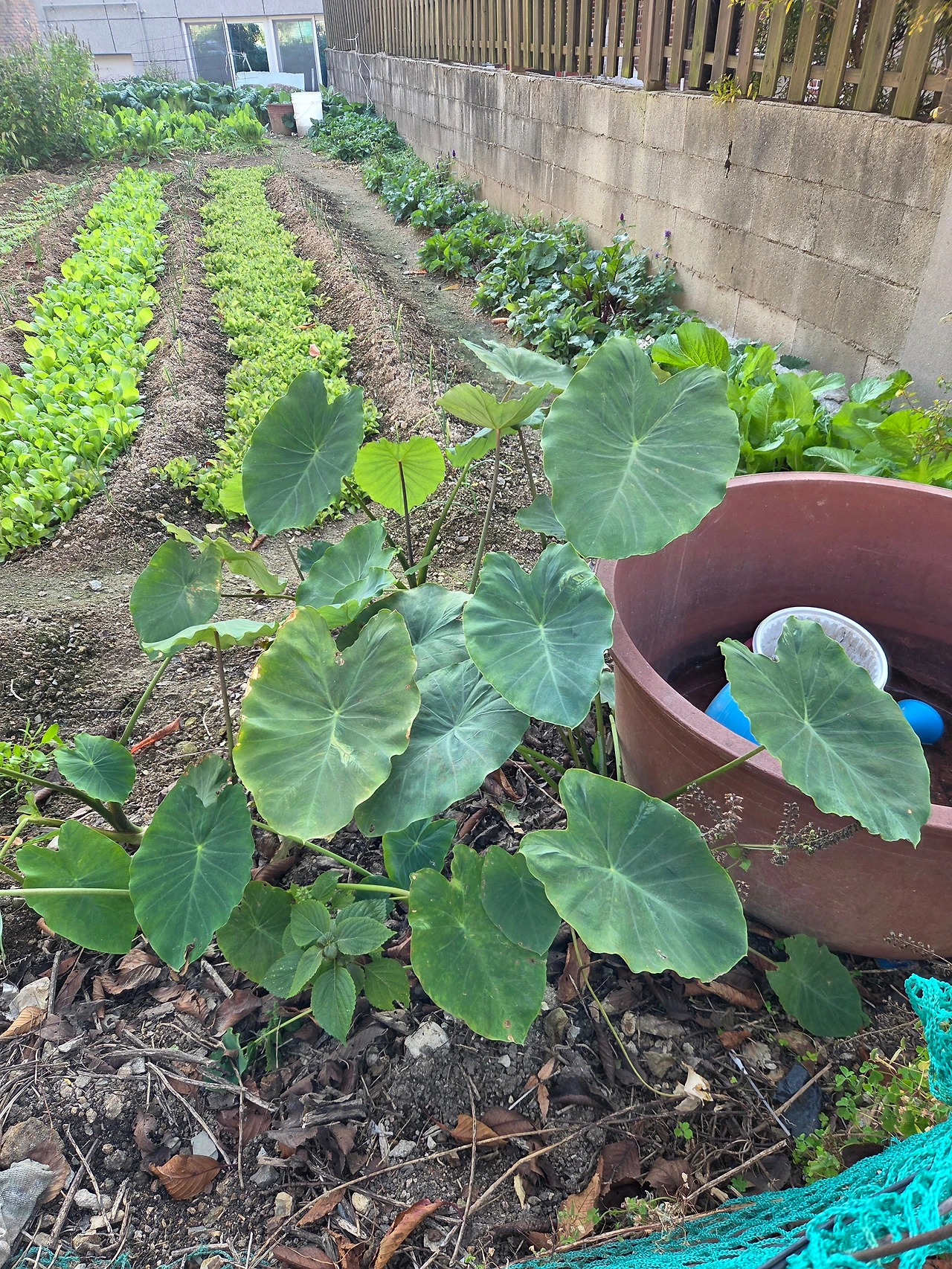 KakaoTalk_Photo_2026-01-27-12-38-22 001.jpeg