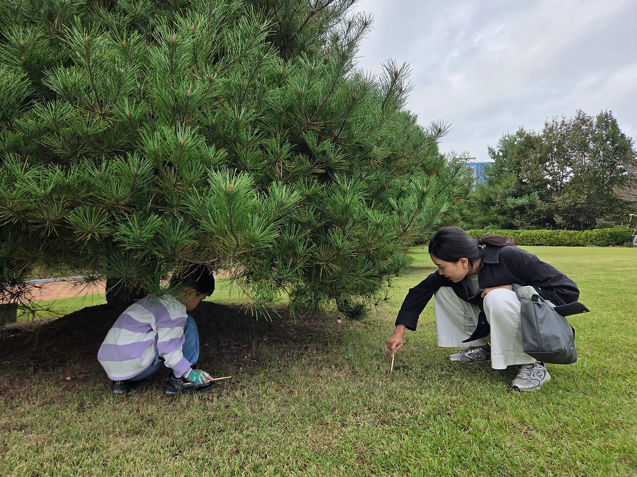 KakaoTalk_Photo_2026-03-06-18-31-04 007.jpeg