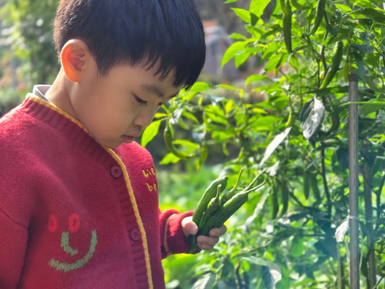 KakaoTalk_Photo_2026-03-06-18-30-17 002.jpeg